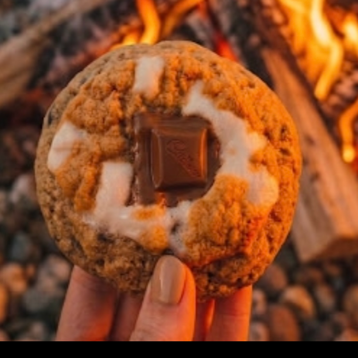 Campfire S'mores