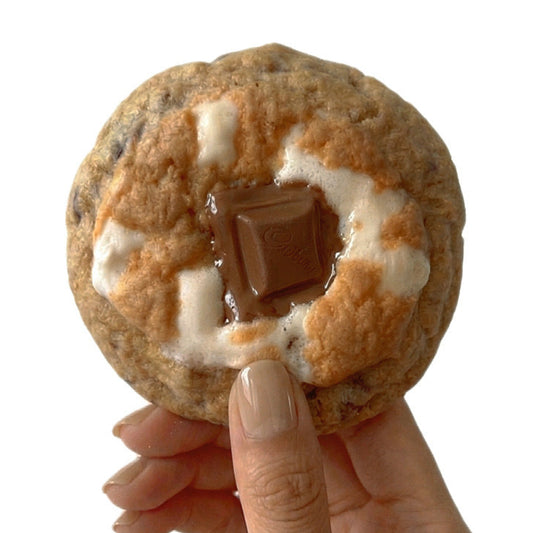 Campfire S'mores